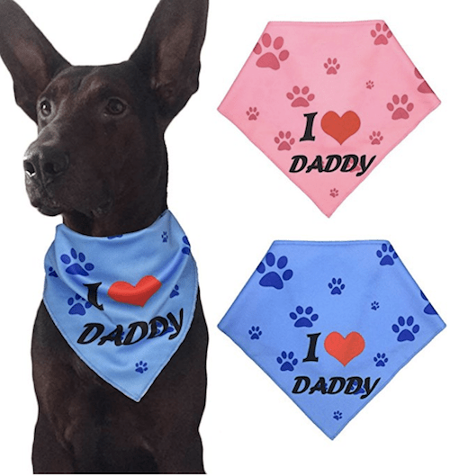 6 Gifts Dog Dads Will Love | NurturedPaws.com/Blog