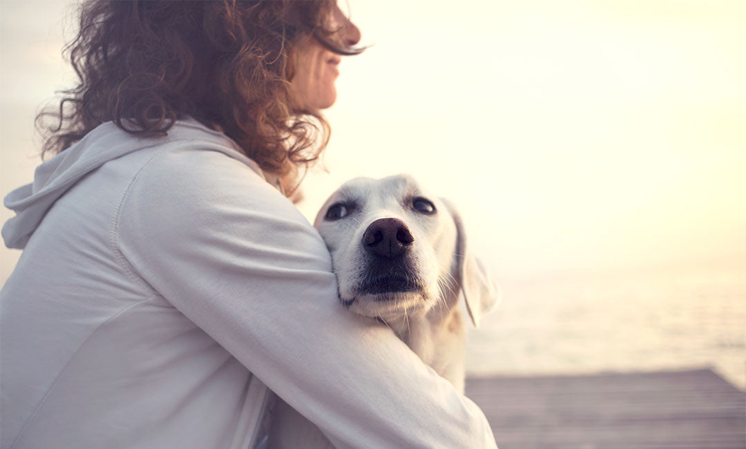 8 Ways to Keep Your Furry Friends Safe