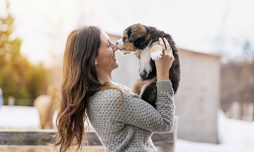 Paw-some Tips for a Healthy, Happy Puppy