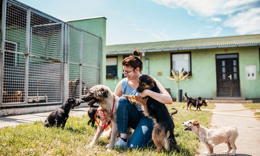 Celebrating Adopt a Shelter Pet Day!