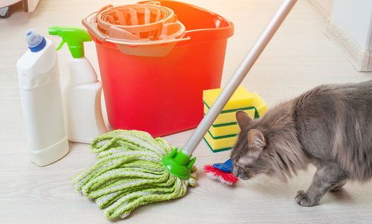 Pet-Safe Cleaning Products: 6 DIY Recipes and Recommendations