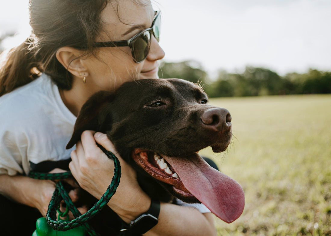 Tips & Tricks on Flea & Tick Prevention