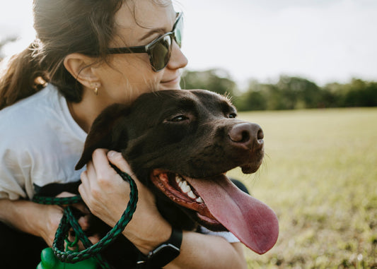Tips & Tricks on Flea & Tick Prevention