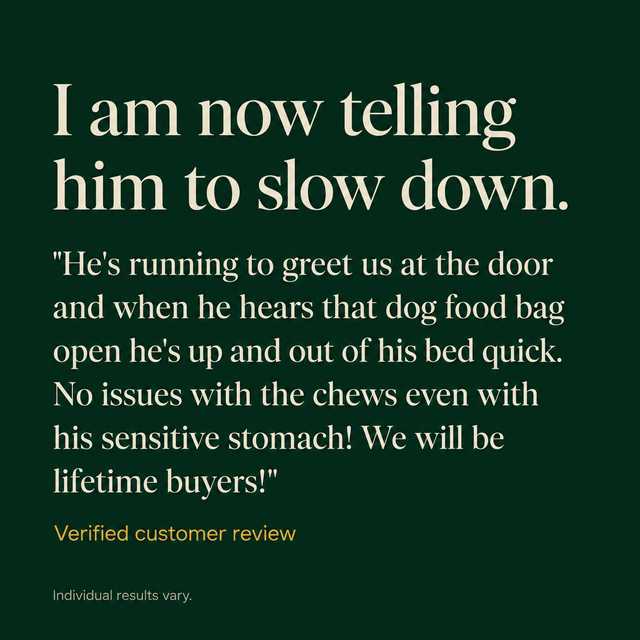 Dark green text card displaying a customer review, laid out as a heading above a block of quoted paragraph text.