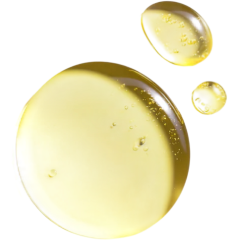 Natural compound found in sunflower, spinach, and broccoli