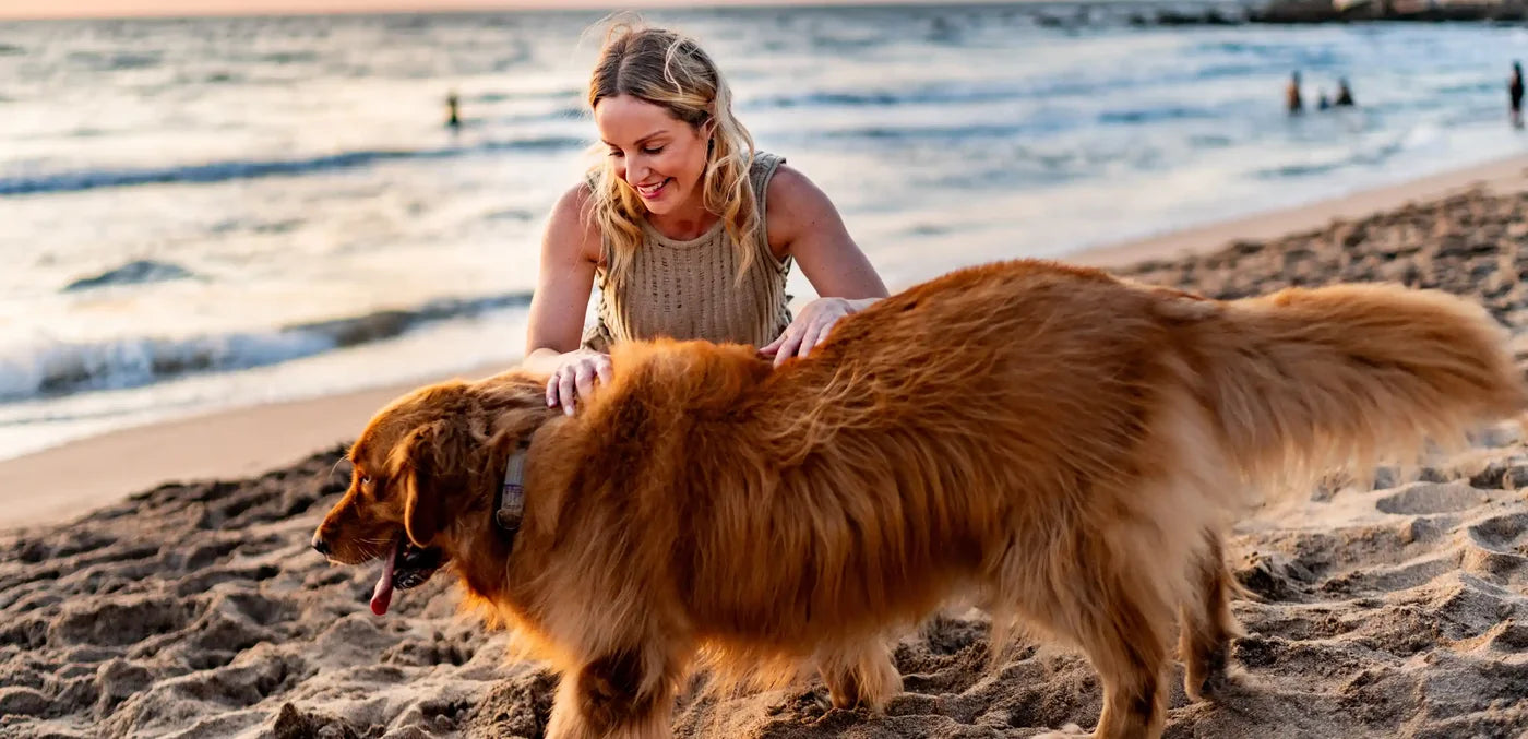Dog and owner enjoying life together