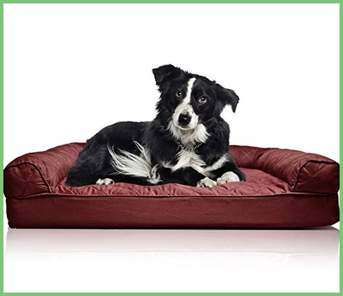 8 Gifts for Your Dog | NurturedPaws.com/Blog