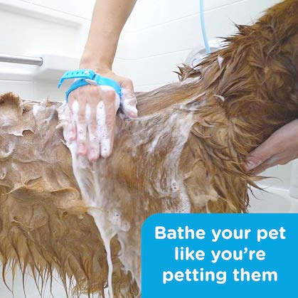 10 Ways to Spoil Your Dog Rotten on August 10 | NurturedPaws.com/Blog