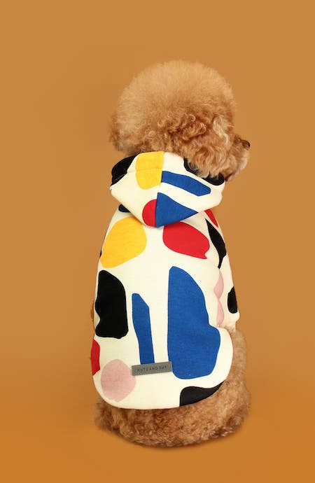 Get Your Pup More Instagram Followers with These 12 Warm and Stylish Dog Sweaters | NurturedPaws.com/Blog