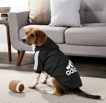 Get Your Pup More Instagram Followers with These 12 Warm and Stylish Dog Sweaters | NurturedPaws.com/Blog