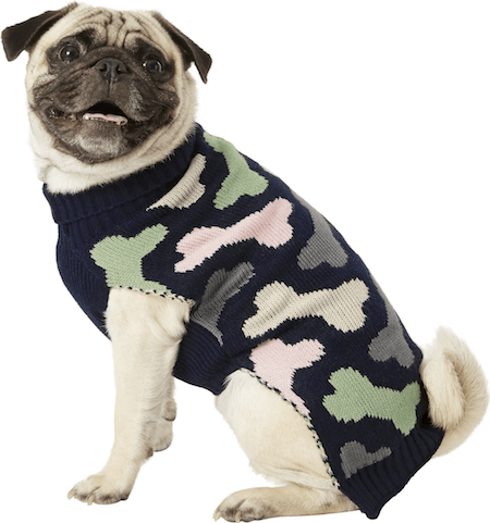 Get Your Pup More Instagram Followers with These 12 Warm and Stylish Dog Sweaters | NurturedPaws.com/Blog