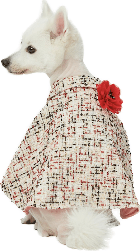 Get Your Pup More Instagram Followers with These 12 Warm and Stylish Dog Sweaters | NurturedPaws.com/Blog