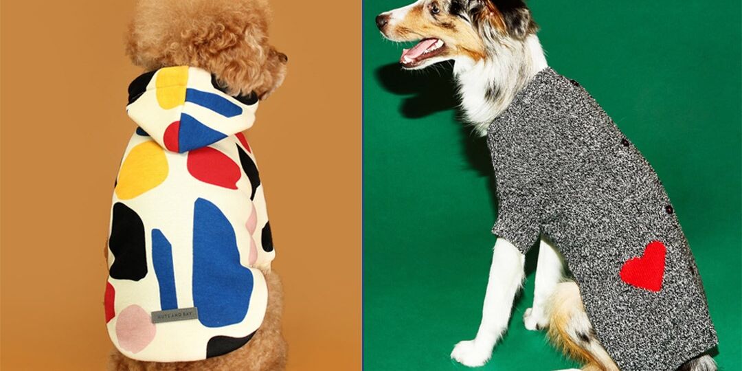 Puppy Cute Dog Outfits