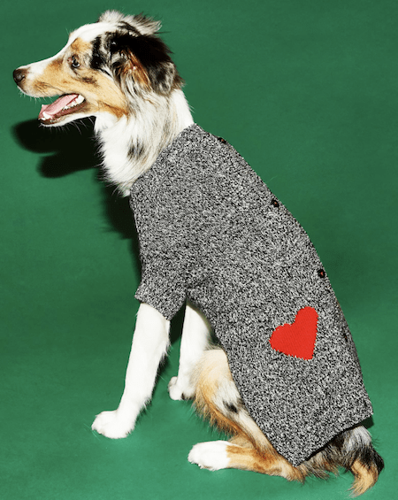 Get Your Pup More Instagram Followers with These 12 Warm and Stylish Dog Sweaters | NurturedPaws.com/Blog