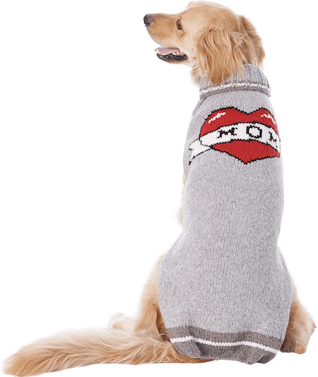 Get Your Pup More Instagram Followers with These 12 Warm and Stylish Dog Sweaters | NurturedPaws.com/Blog