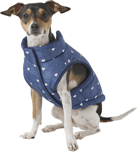 Get Your Pup More Instagram Followers with These 12 Warm and Stylish Dog Sweaters | NurturedPaws.com/Blog