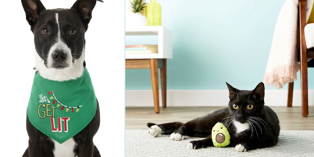 Gifts for Pets | NurturedPaws.com/Blog