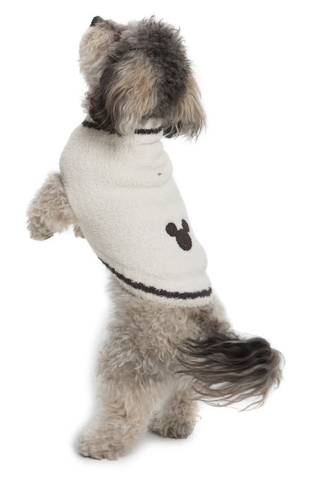 Get Your Pup More Instagram Followers with These 12 Warm and Stylish Dog Sweaters | NurturedPaws.com/Blog