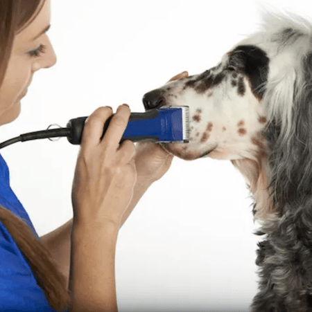 DIY Grooming Essentials | NurturedPaws.com/Blog