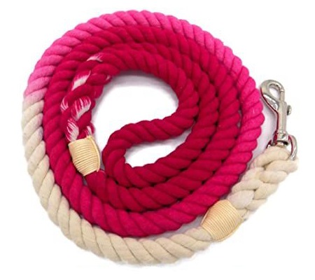 Colorful Dog Accessories For Your Everyday Social Distancing Walks | NurturedPaws.com/Blog