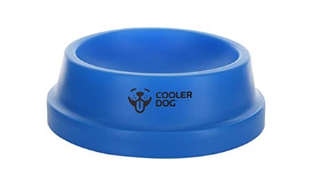 Cooling Dog Accessories To Keep Your Pup Totally Chill This Summer | NurturedPaws.com/Blog