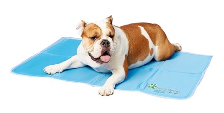 Cooling Dog Accessories To Keep Your Pup Totally Chill This Summer | NurturedPaws.com/Blog