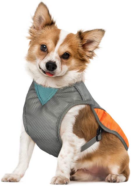 Cooling Dog Accessories To Keep Your Pup Totally Chill This Summer | NurturedPaws.com/Blog