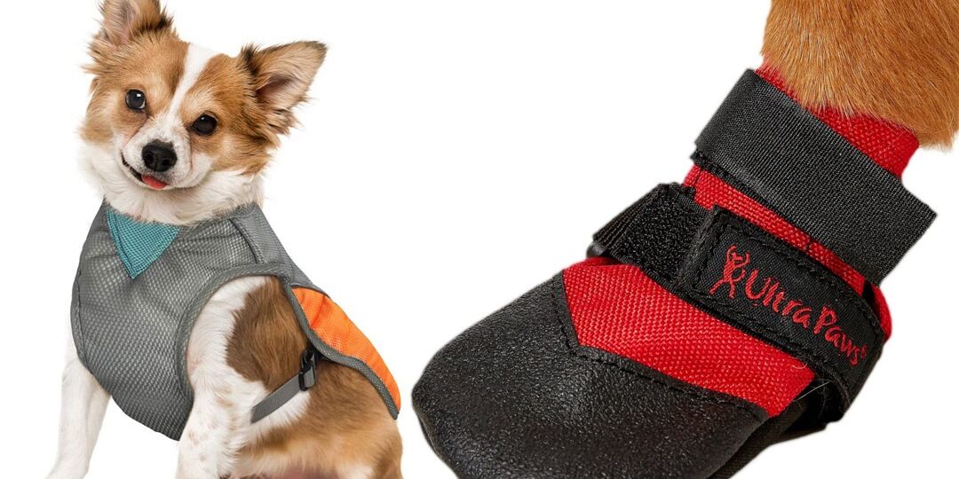 Cooling Dog Accessories To Keep Your Pup Totally Chill This Summer | NurturedPaws.com/Blog