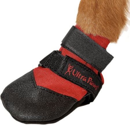 Cooling Dog Accessories To Keep Your Pup Totally Chill This Summer | NurturedPaws.com/Blog