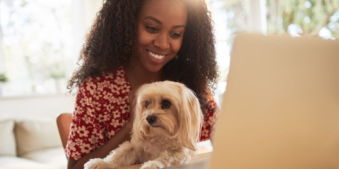 Work-Friendly Dog Gear For 'Take Your Dog to Work' Day | NurturedPaws.com/Blog