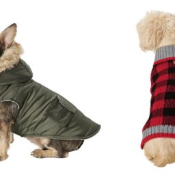 Doggy Accessories To Keep Your Pup Warm This Season | NurturedPaws.com/Blog