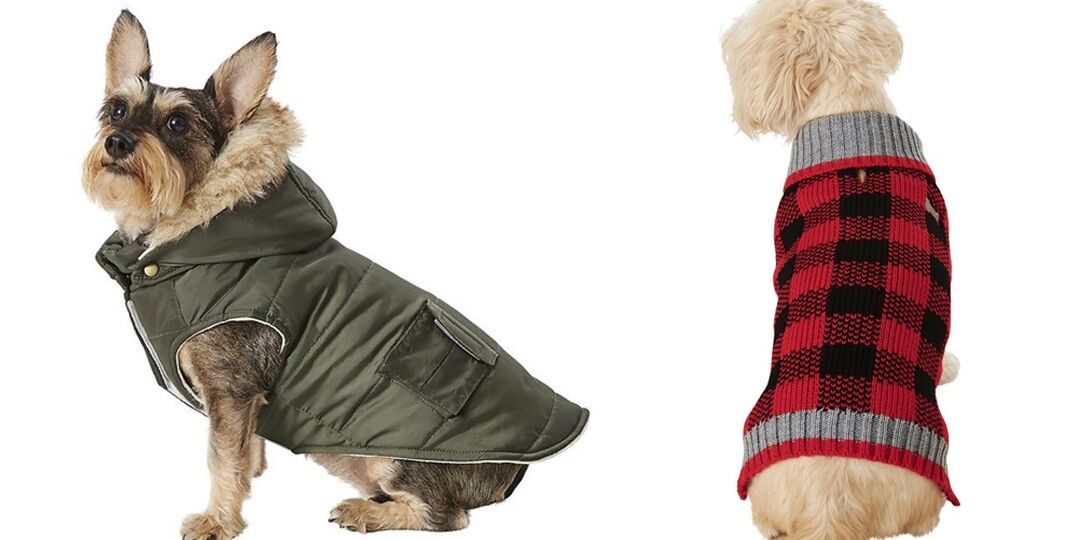 Doggy Accessories To Keep Your Pup Warm This Season | NurturedPaws.com/Blog