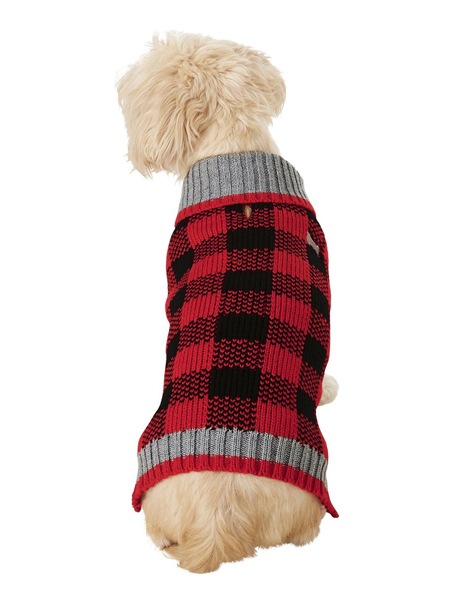 Doggy Accessories To Keep Your Pup Warm This Season | Nurtured Paws