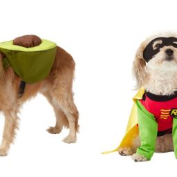 Our Favorite Halloween Pet Costumes From Chewy | NurturedPaws.com/Blog