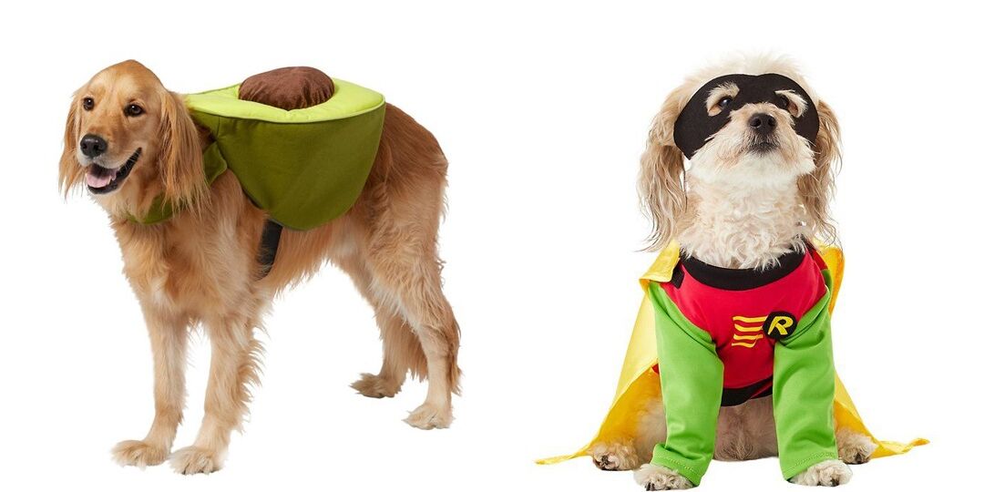 Our Favorite Halloween Pet Costumes From Chewy | NurturedPaws.com/Blog