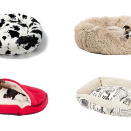 15 Cute Dog Beds We're Loving From Chewy | NurturedPaws.com/Blog