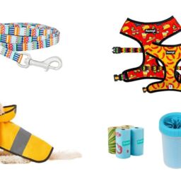 Cute Dog Walking Accessories For Your Pup | NurturedPaws.com/Blog