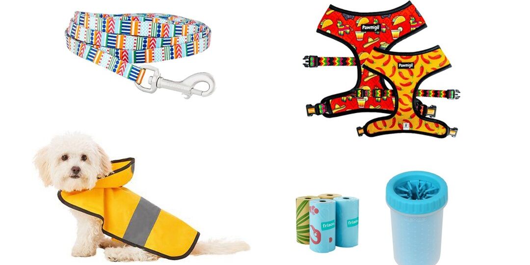 Cute Dog Walking Accessories For Your Pup | NurturedPaws.com/Blog