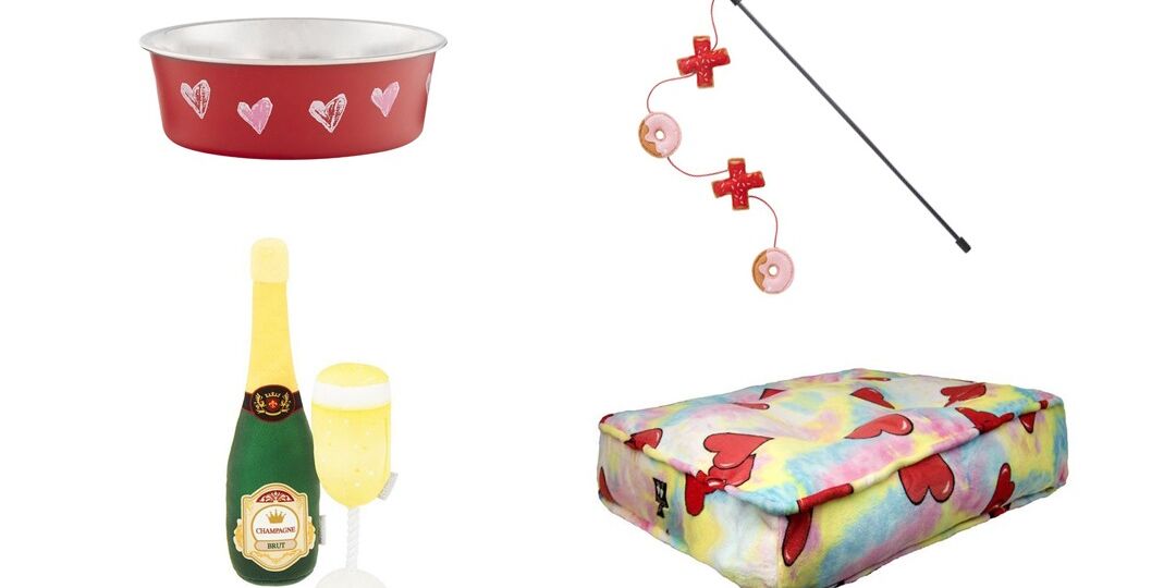 Valentine's Day Pet Gifts You'll Absolutely LOVE | NurturedPaws.com/Blog