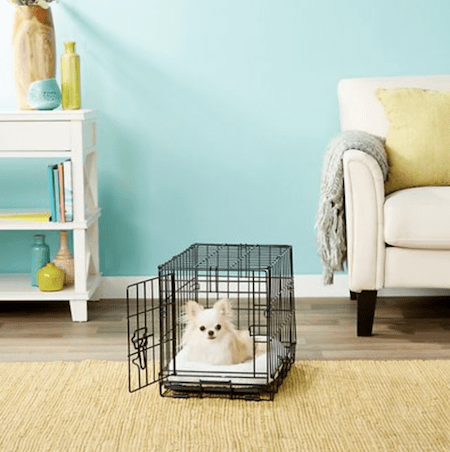 Everything You Need To Welcome A New Puppy To Your Space | NurturedPaws.com/Blog