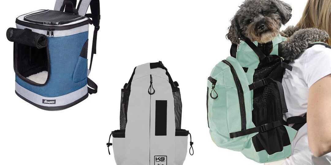 The Best Backpacks for Dogs | NurturedPaws.com/Blog