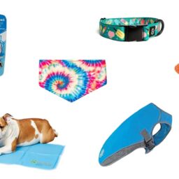 Summer Dog Essentials For The New Season | NurturedPaws.com/Blog