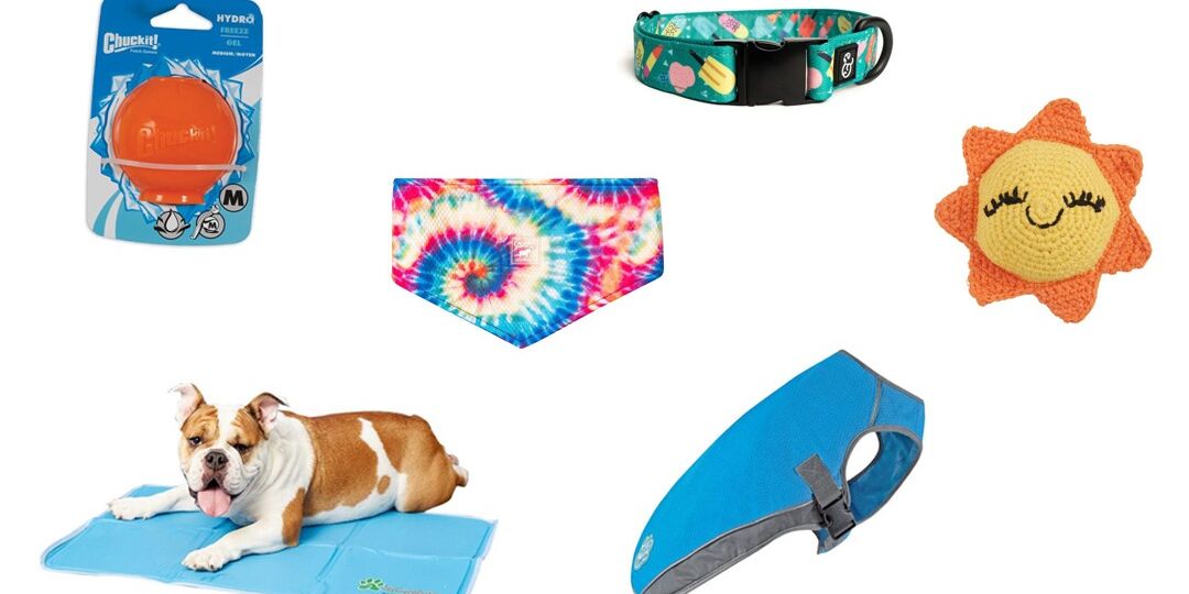 Summer Dog Essentials For The New Season | NurturedPaws.com/Blog