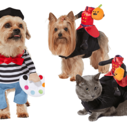 Hilarious and Cute Dog and Cat Halloween Costumes from Chewy | NurturedPaws.com/Blog
