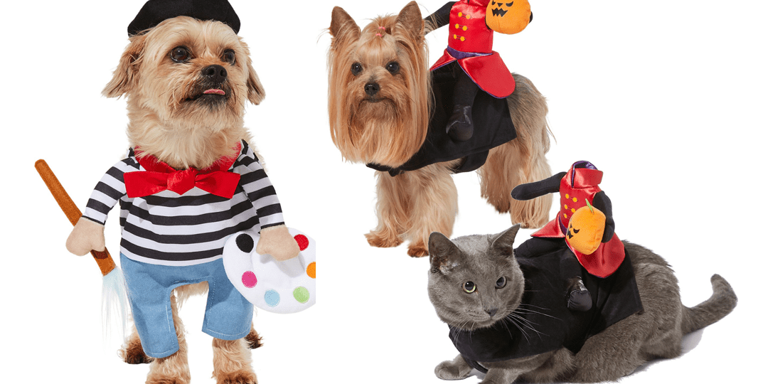 Hilarious and Cute Dog and Cat Halloween Costumes from Chewy | NurturedPaws.com/Blog