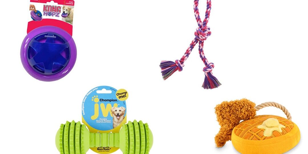 How to Clean Dog Toys (And When to Toss Them) | NurturedPaws.com/Blog