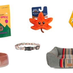 Thanksgiving-Themed Dog Accessories for the 2021 Season | NurturedPaws.com/Blog