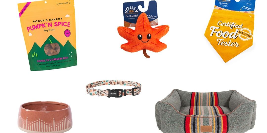 Thanksgiving-Themed Dog Accessories for the 2021 Season | NurturedPaws.com/Blog