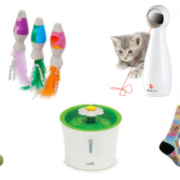 The Ultimate Gift Guide for Cat Moms | NurturedPaws.com/Blog