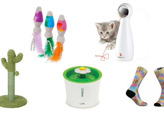 The Ultimate Gift Guide for Cat Moms | NurturedPaws.com/Blog